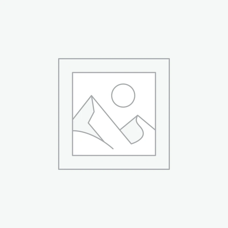 Animation & Motion Graphics