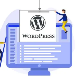 Custom WordPress Theme & Plugin Enhancement Service