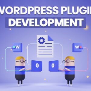Custom WordPress Plugin Development Service